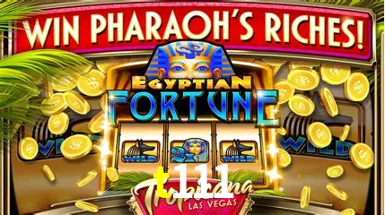 Live Casino t111